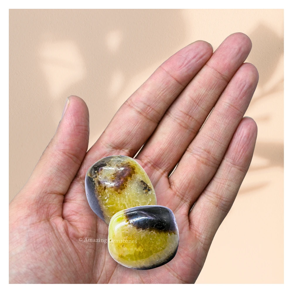 Tumbled Septarian Stone Crystals (1000+ Carats)