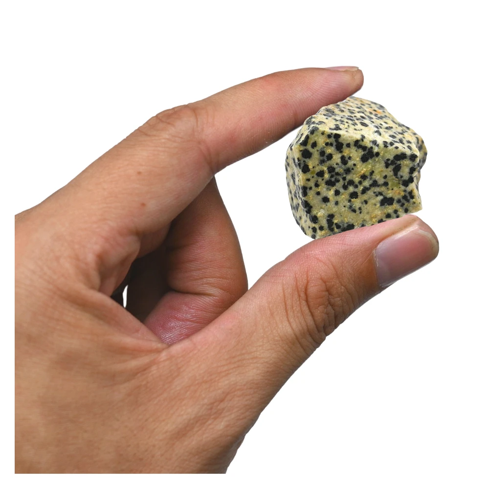 Dalmatian Jasper Raw Crystals (2 Pieces)