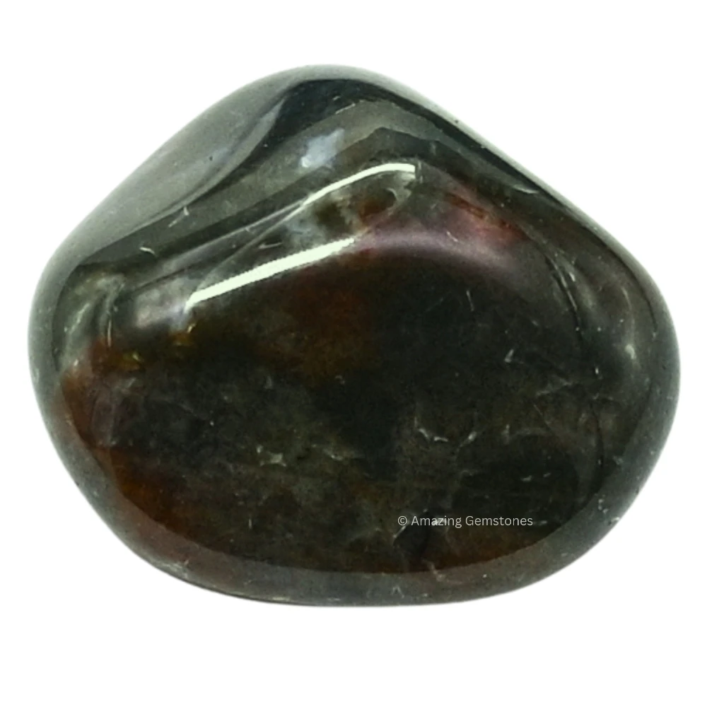 Tumbled Bloodstone Stone Crystals (1 oz)