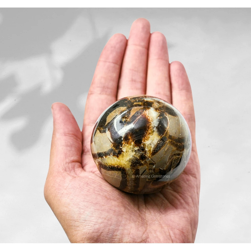 Large Septarian Sphere (2.5 Inch)