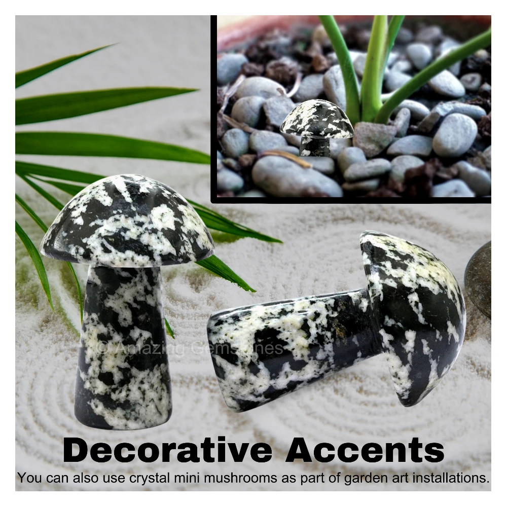 Black and White Tourmaline Crystal Mushroom