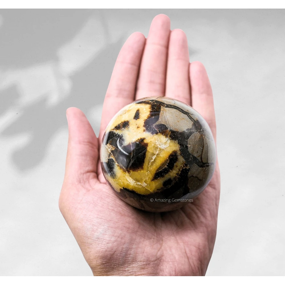 Large Septarian Sphere (3 Inch)