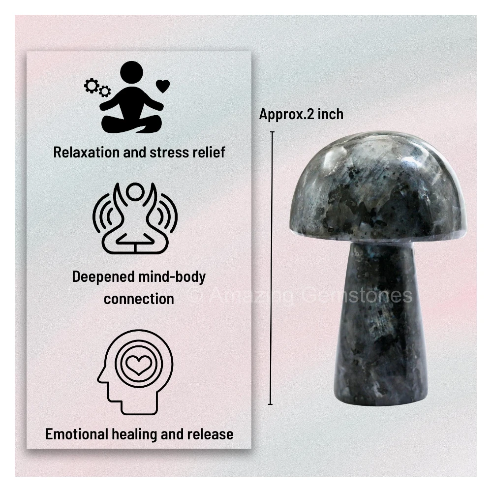 Larvikite Crystal Mushroom
