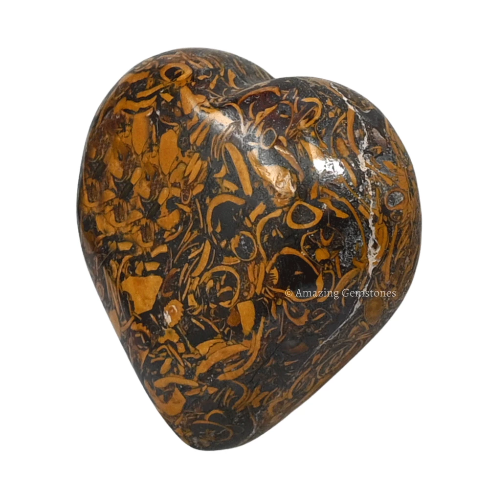 Mariyam Jasper Heart