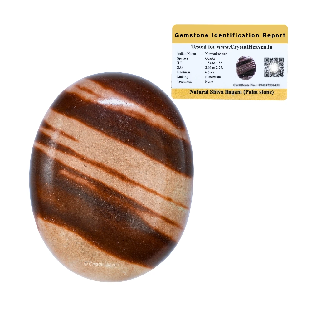 Narmada Shiva Lingam Palm Stone