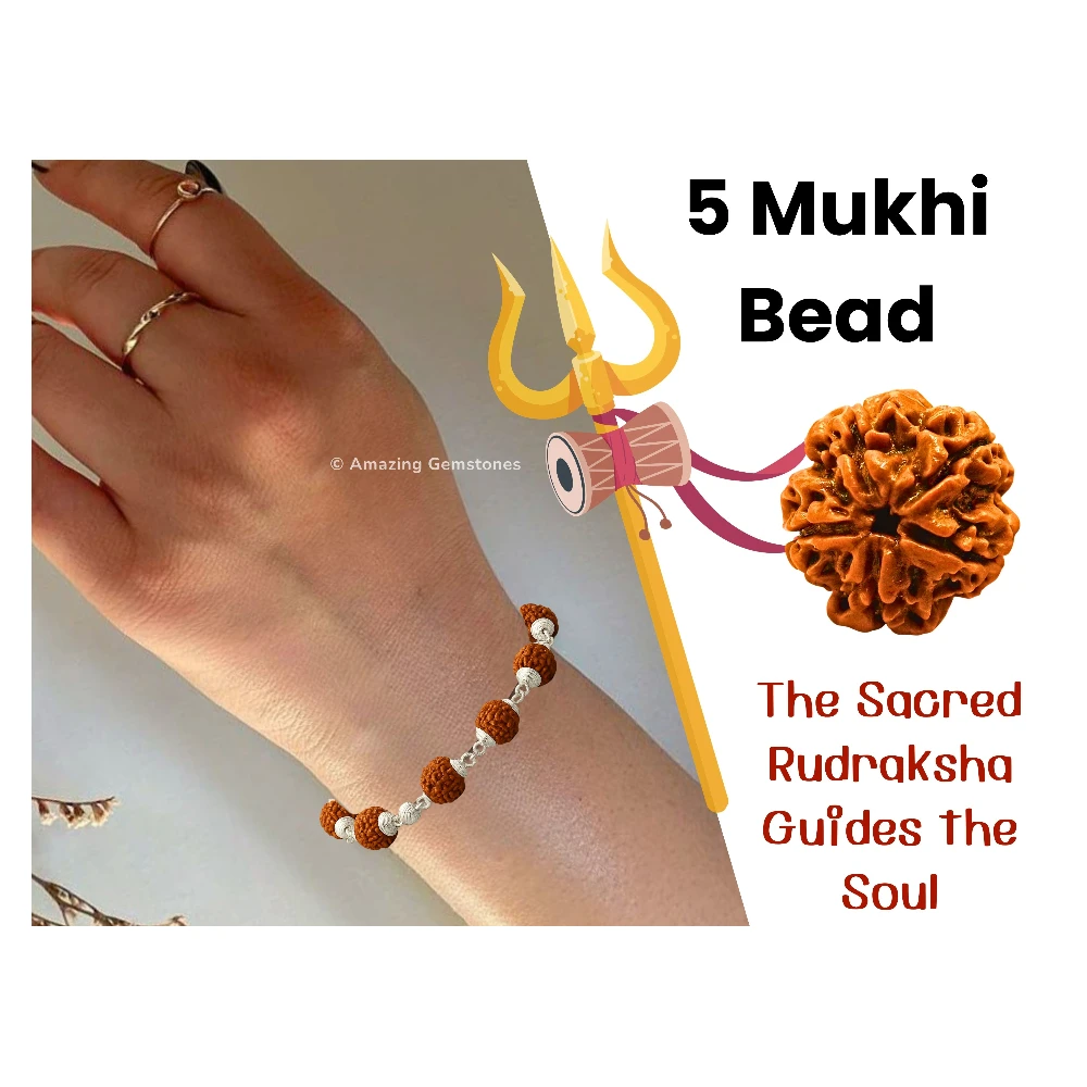 8mm Rudraksha Bracelet (Silver Chain)