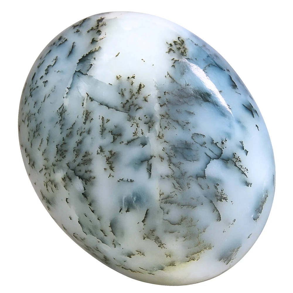 Dendrite Opal Palm Stone
