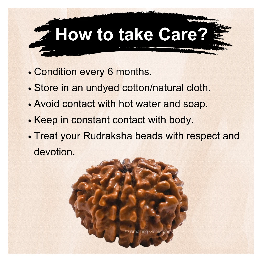 Authentic 9 Mukhi Rudraksha Bead