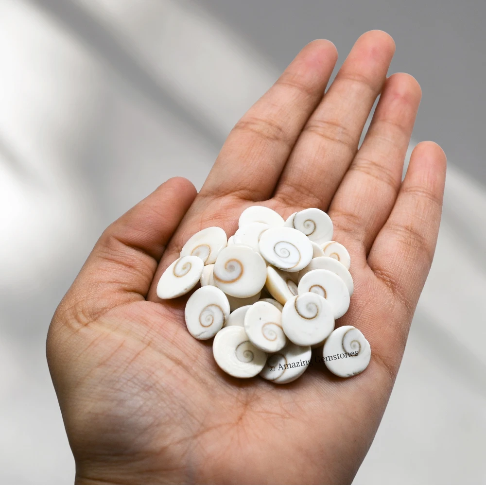 11 Pieces Gomti Chakra (10mm)