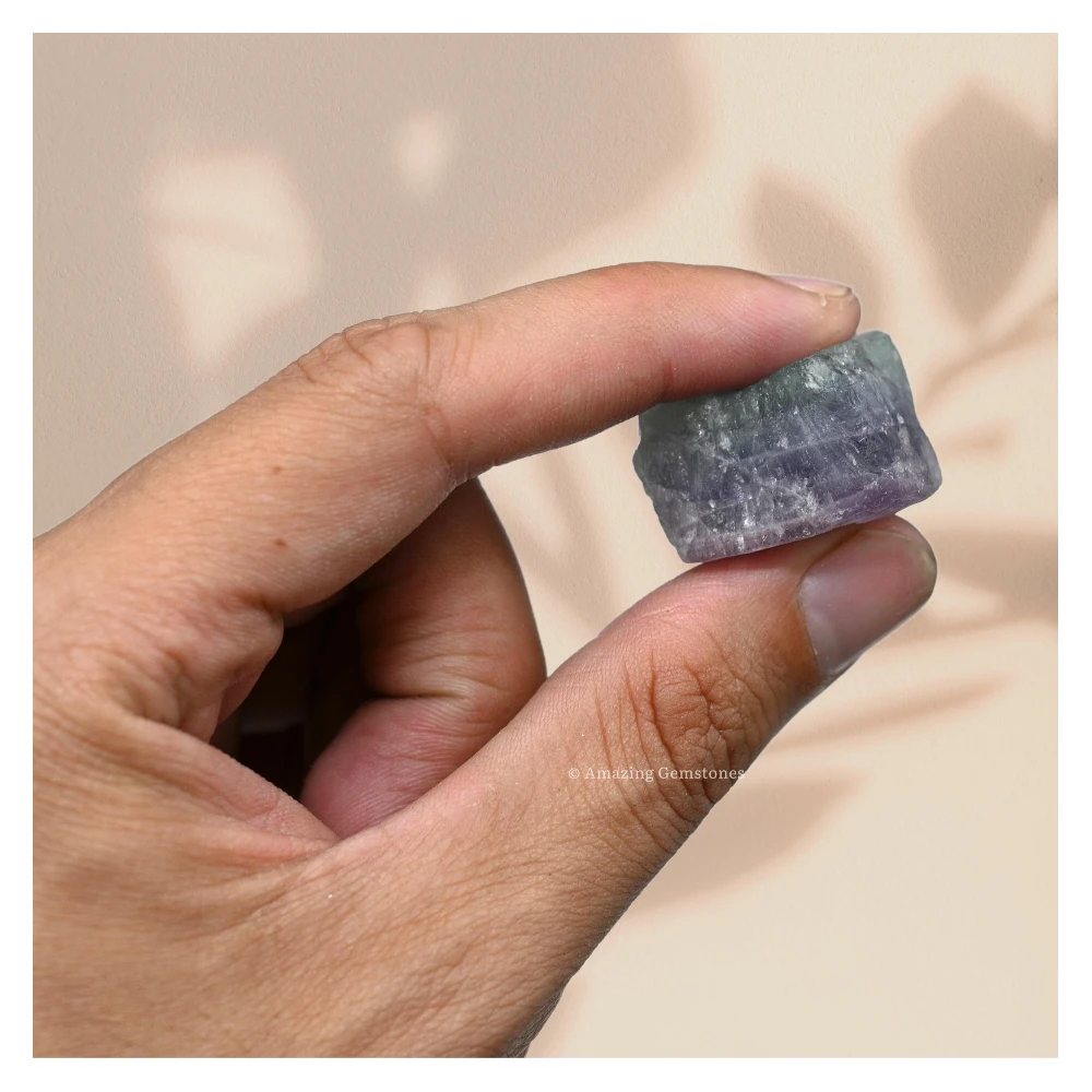 Fluorite Raw Crystals (5 Pieces)