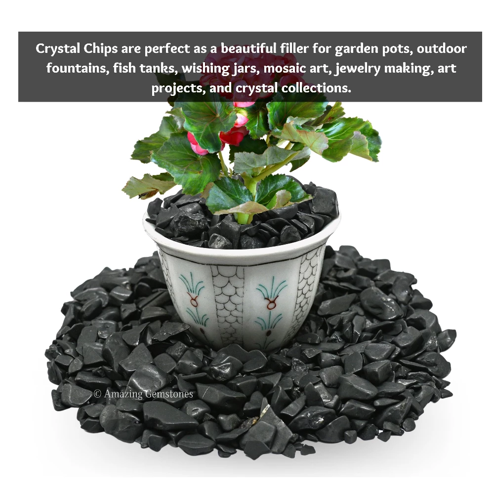 Shungite Chips (1LB)