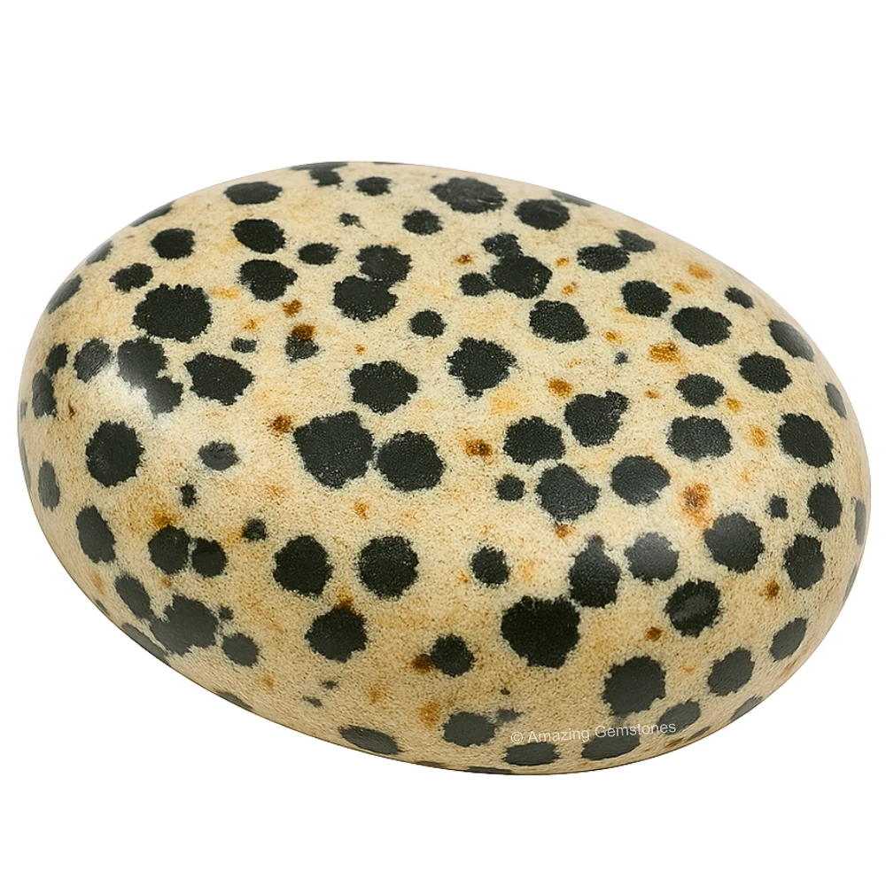 Dalmatian Jasper Palm Stone