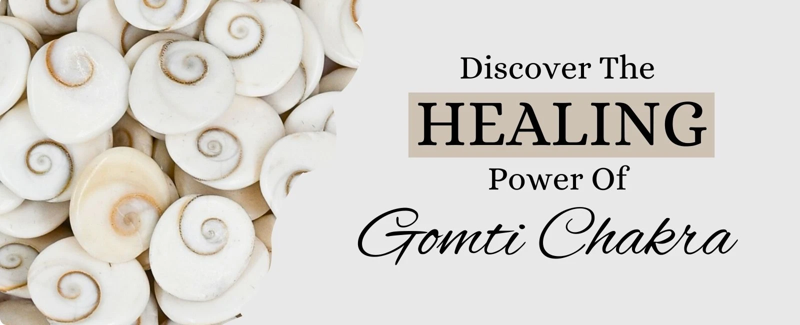 The Healing Power of Gomti Chakra: Benefits and Uses
