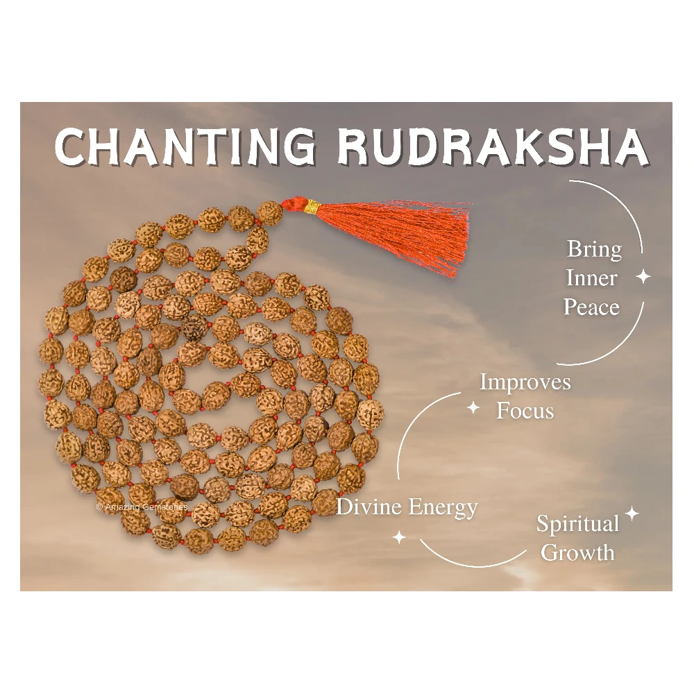 10mm Rudraksha Mala (Hand Knotted)