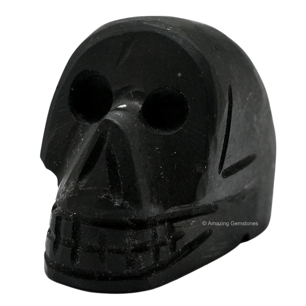 Shungite Skull