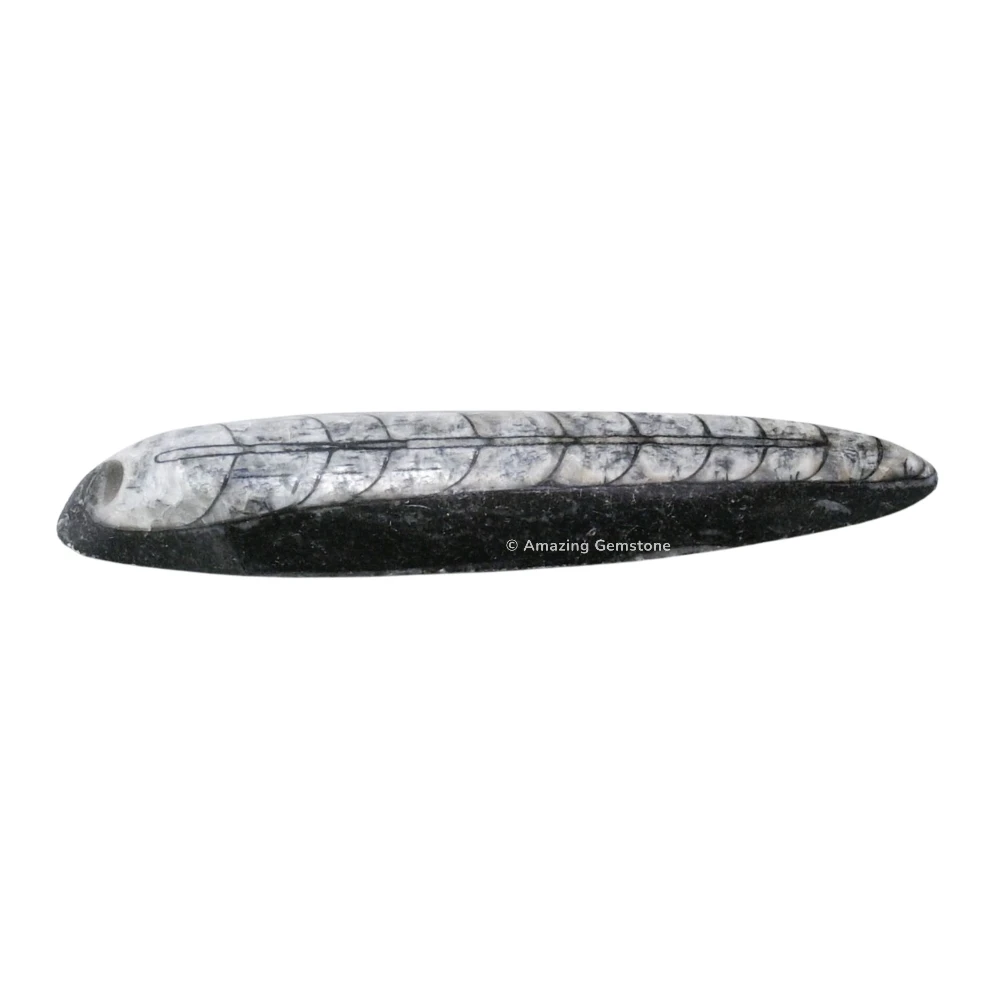Orthoceras Fossil Kuber Stone (3-4 Inch)