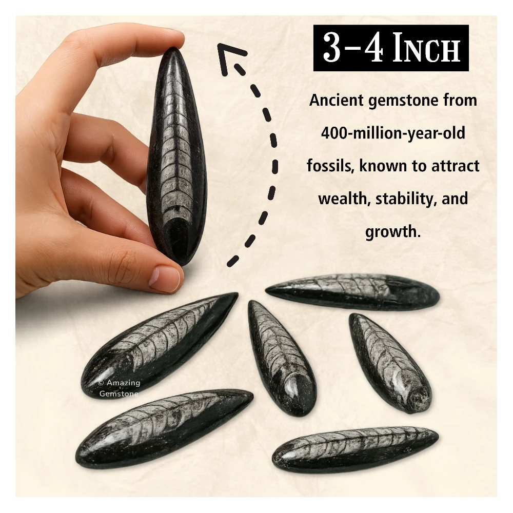 Orthoceras Fossil Kuber Stone (3-4 Inch)