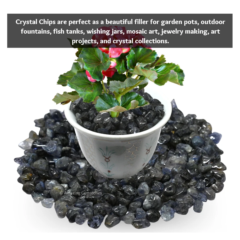 Iolite Chips - Pre Drilled