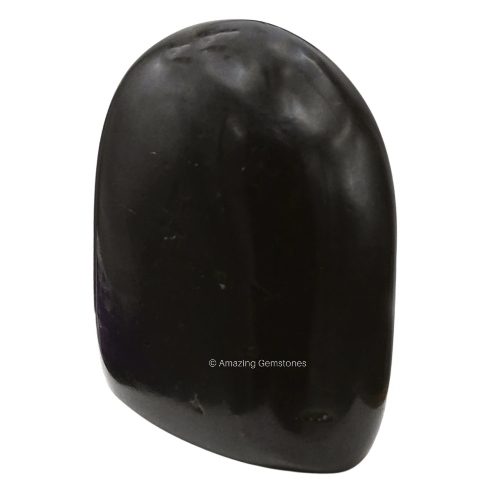 Black Tourmaline Standing Palm Stone (Regular)