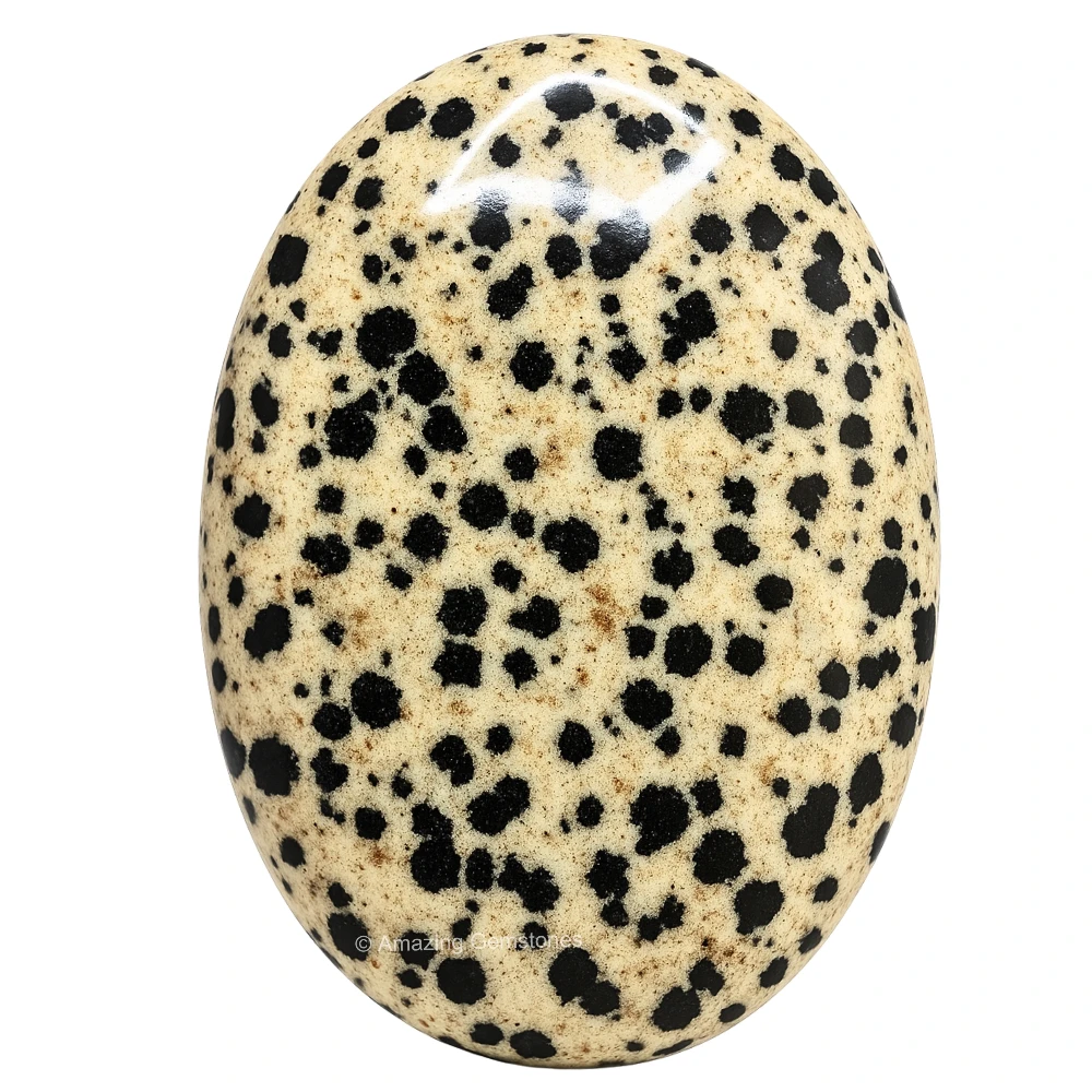 Dalmatian Jasper Palm Stone