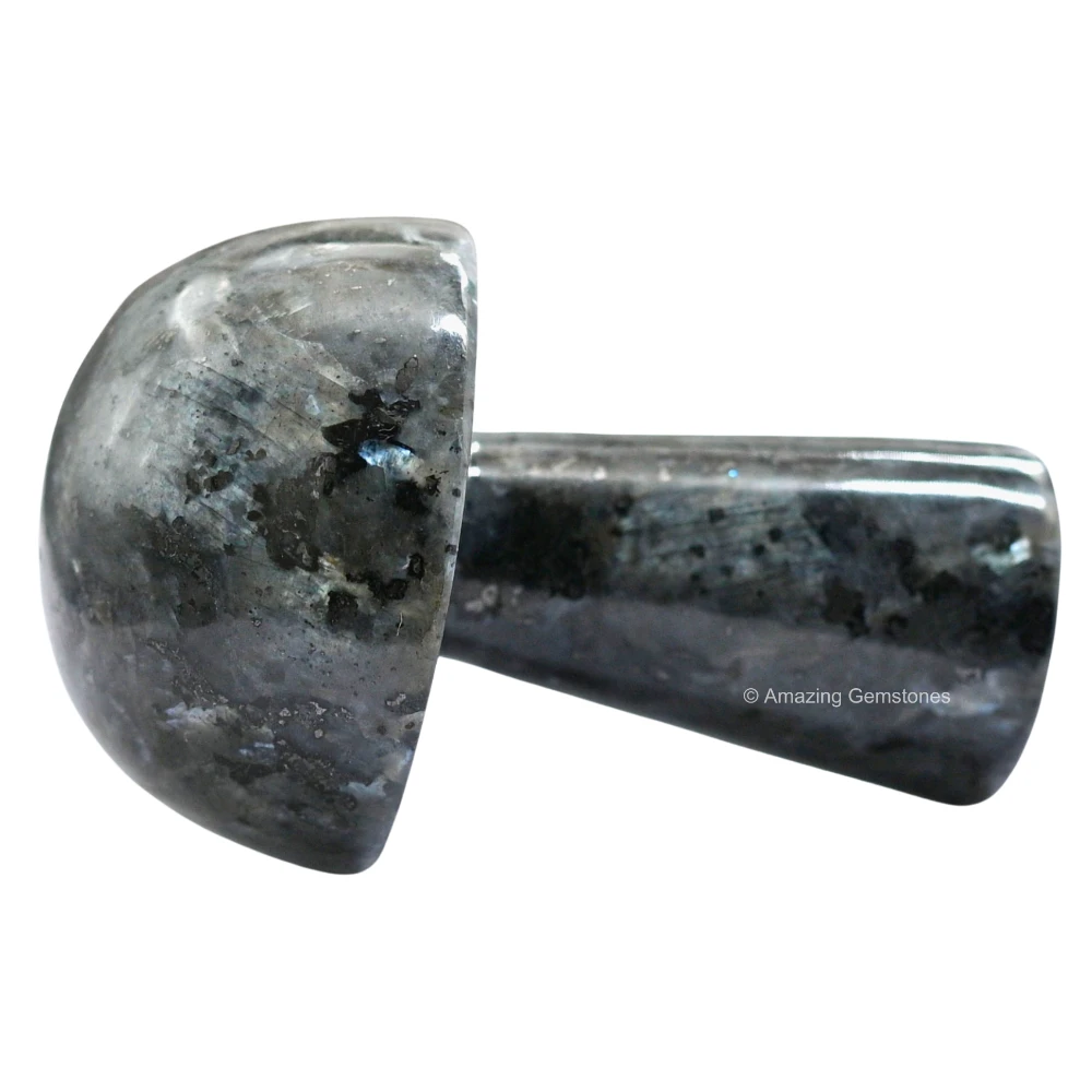Larvikite Crystal Mushroom