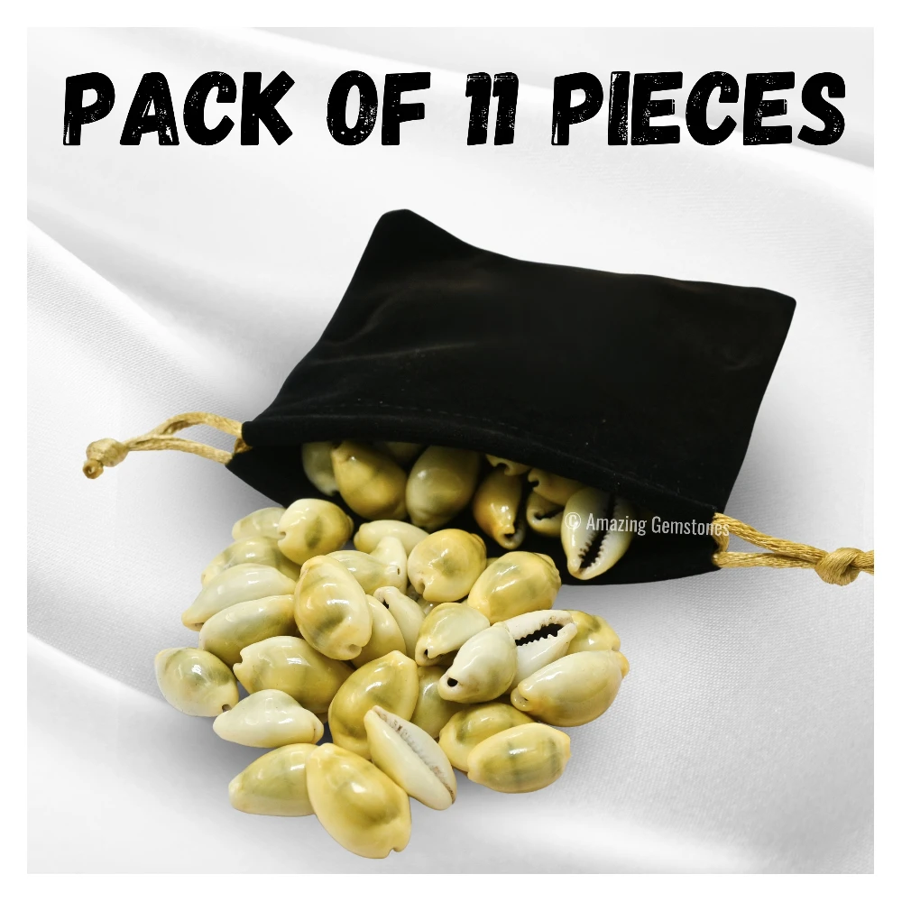Yellow Cowrie Shells (Set of 11)