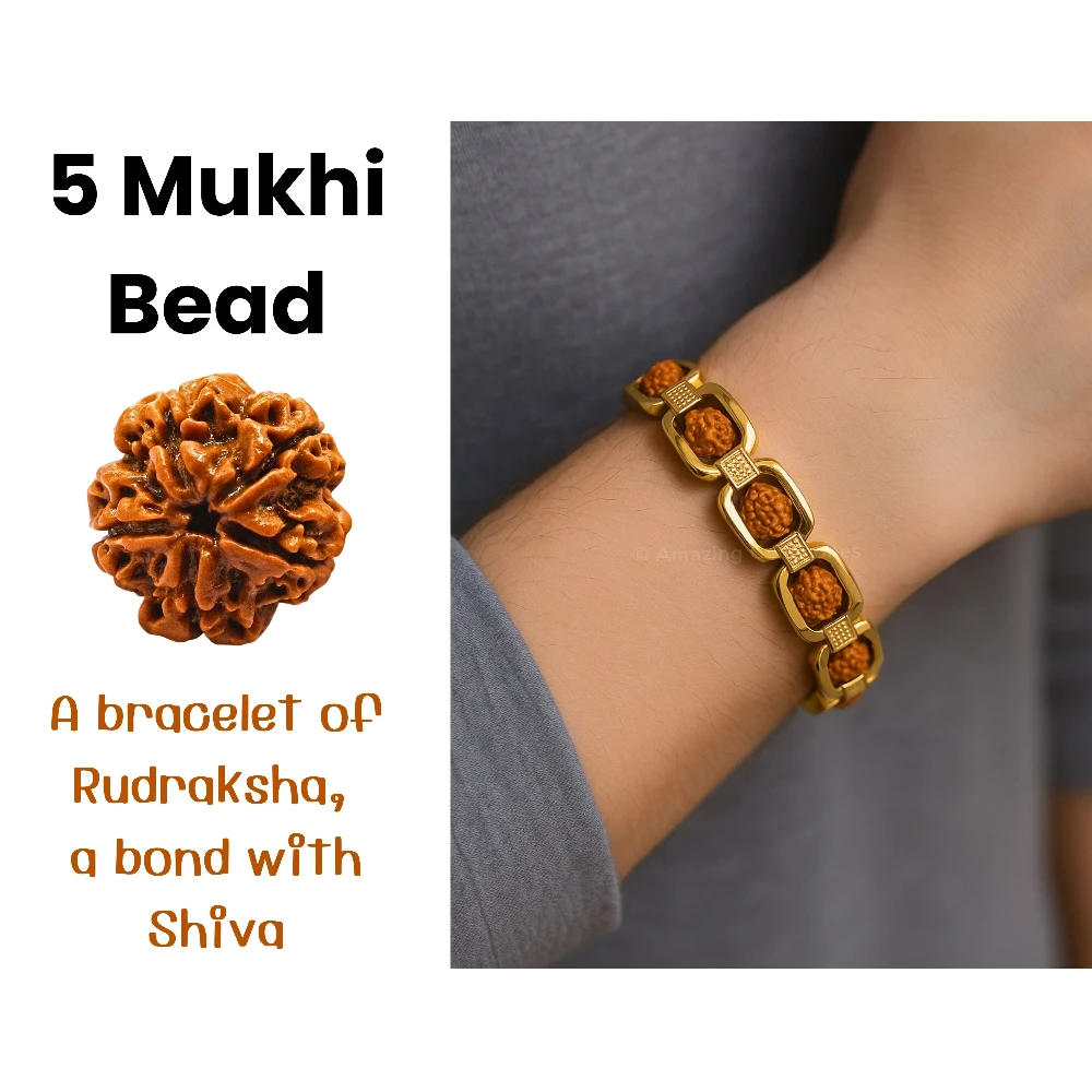 Rudraksha Bracelet (Premium Gold Chain)