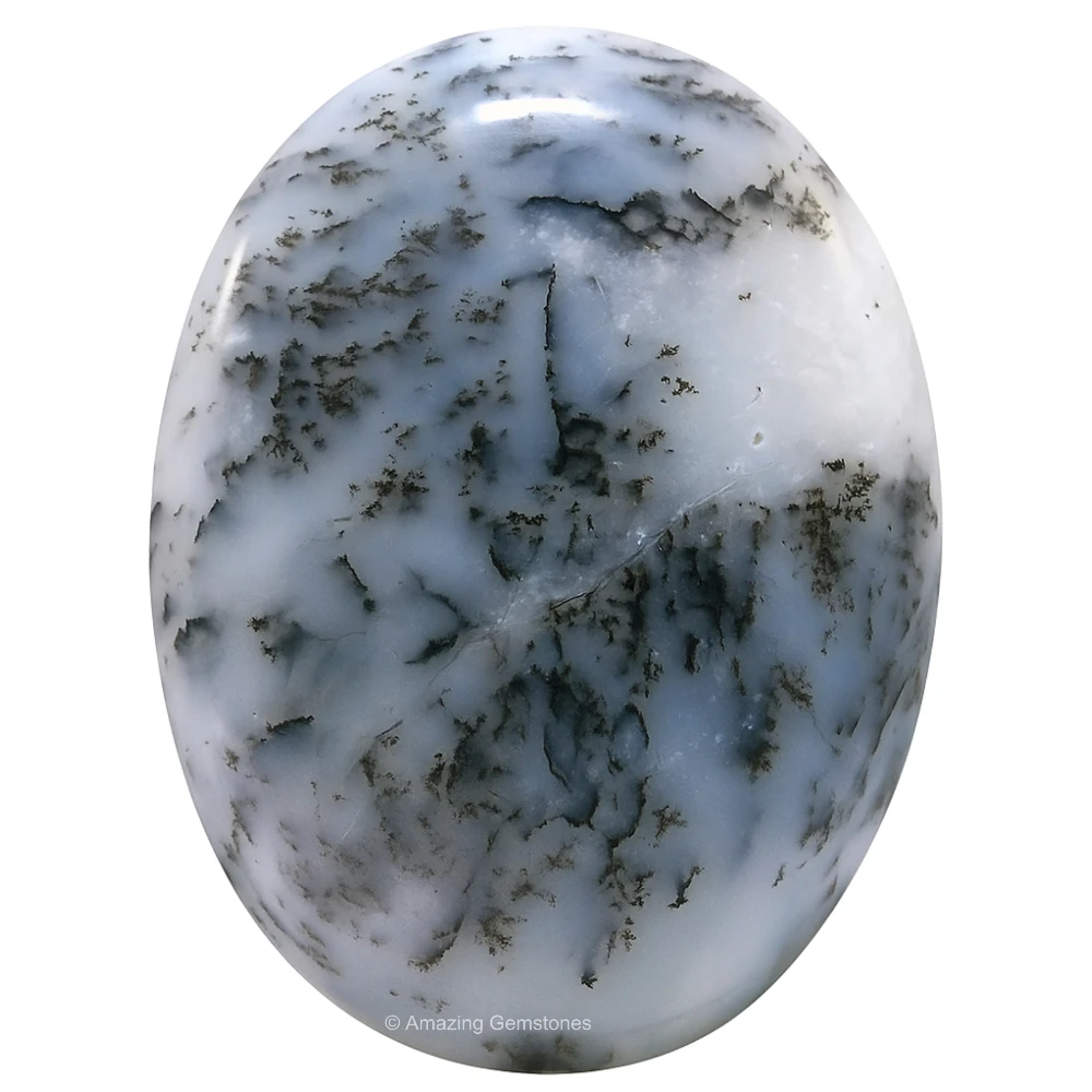 Dendrite Opal Palm Stone