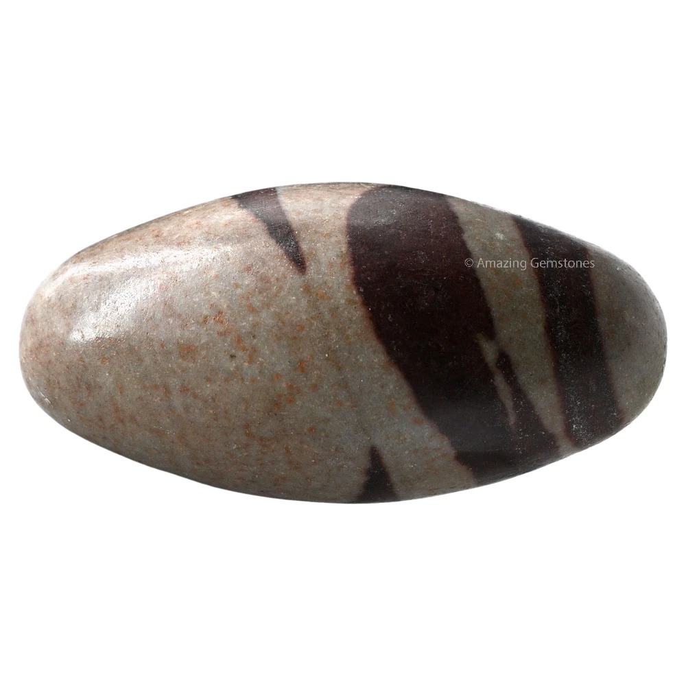 Narmadeshwar Shiva Lingam Stone(Unpolished) (3-3.5 Inch)