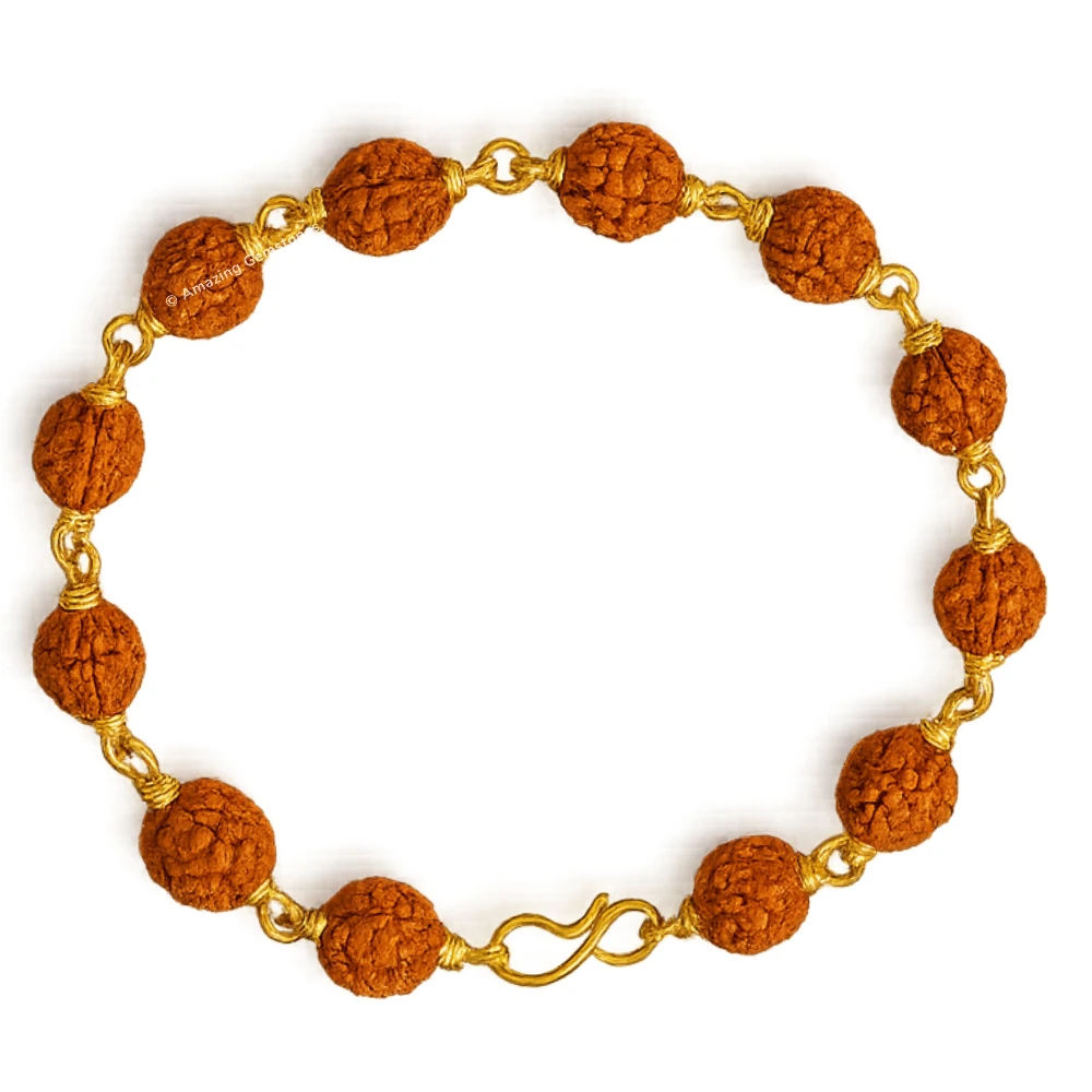 8mm Rudraksha Bracelet (Gold Chain)