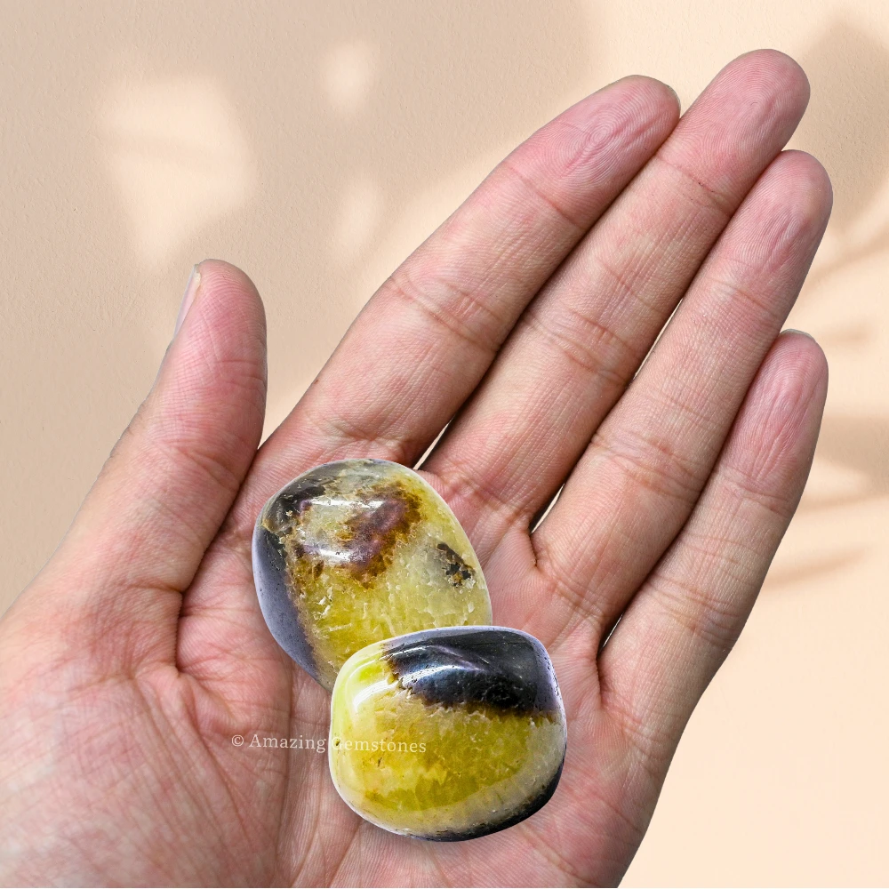 Tumbled Septarian Stone Crystals (1 oz)