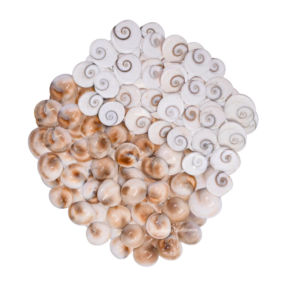 11 Pieces Gomti Chakra (10mm)