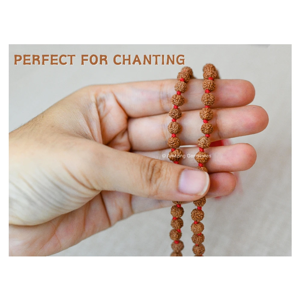 6mm Rudraksha Mala (Hand Knotted)