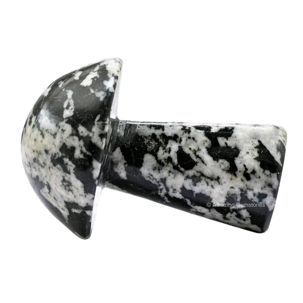 Black and White Tourmaline Crystal Mushroom