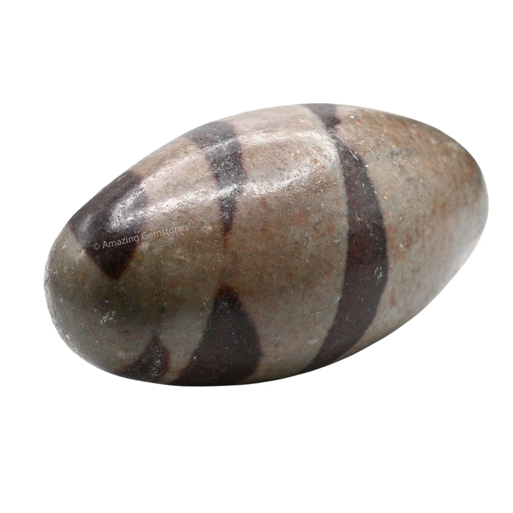Narmadeshwar Shiva Lingam Stone(Unpolished) (2-3 Inch)