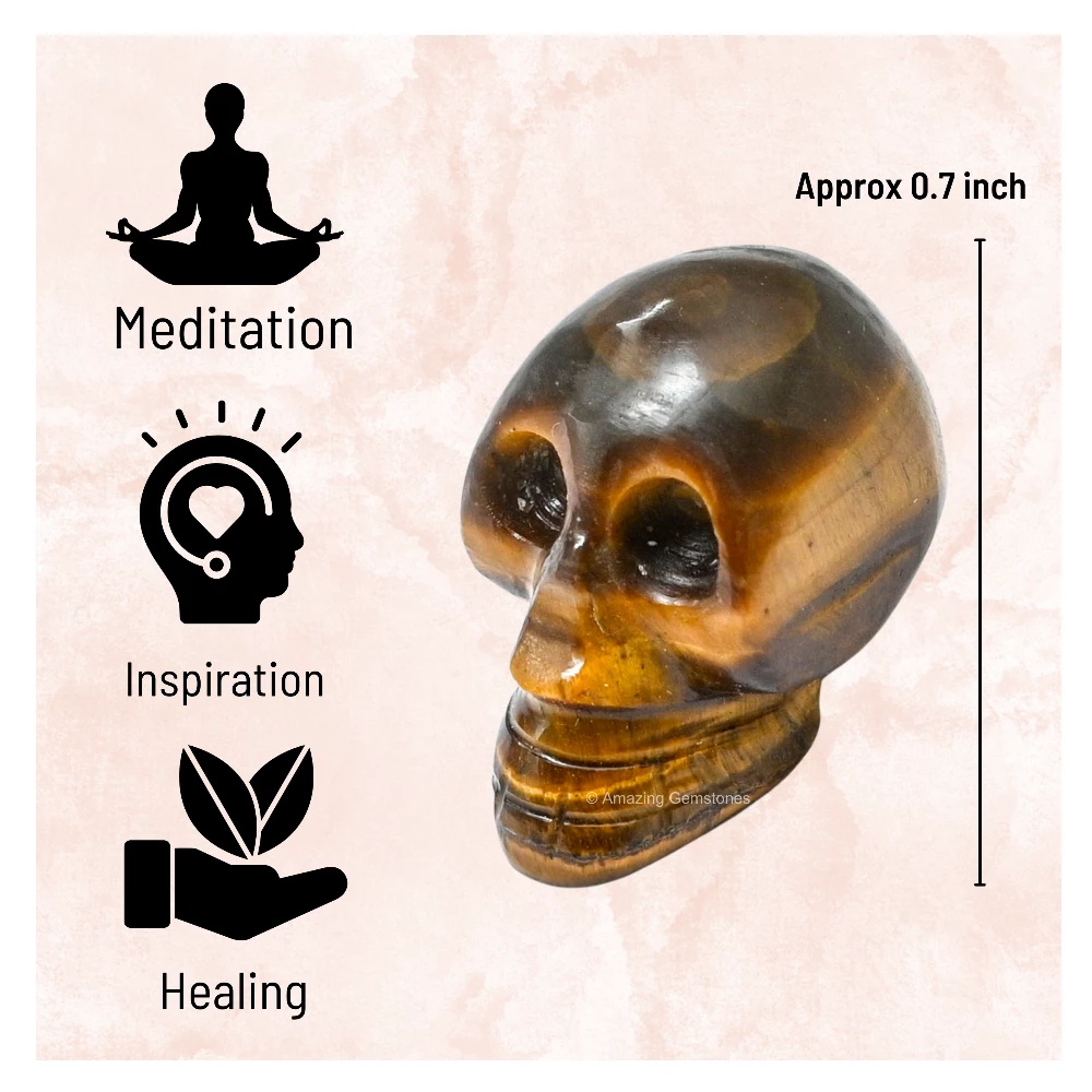 Tiger Eye Skull
