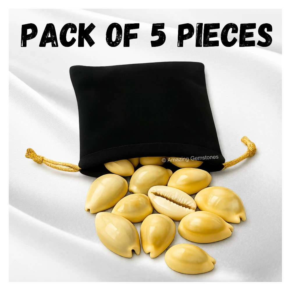 Yellow Cowrie Shells - Large (Set of 5)