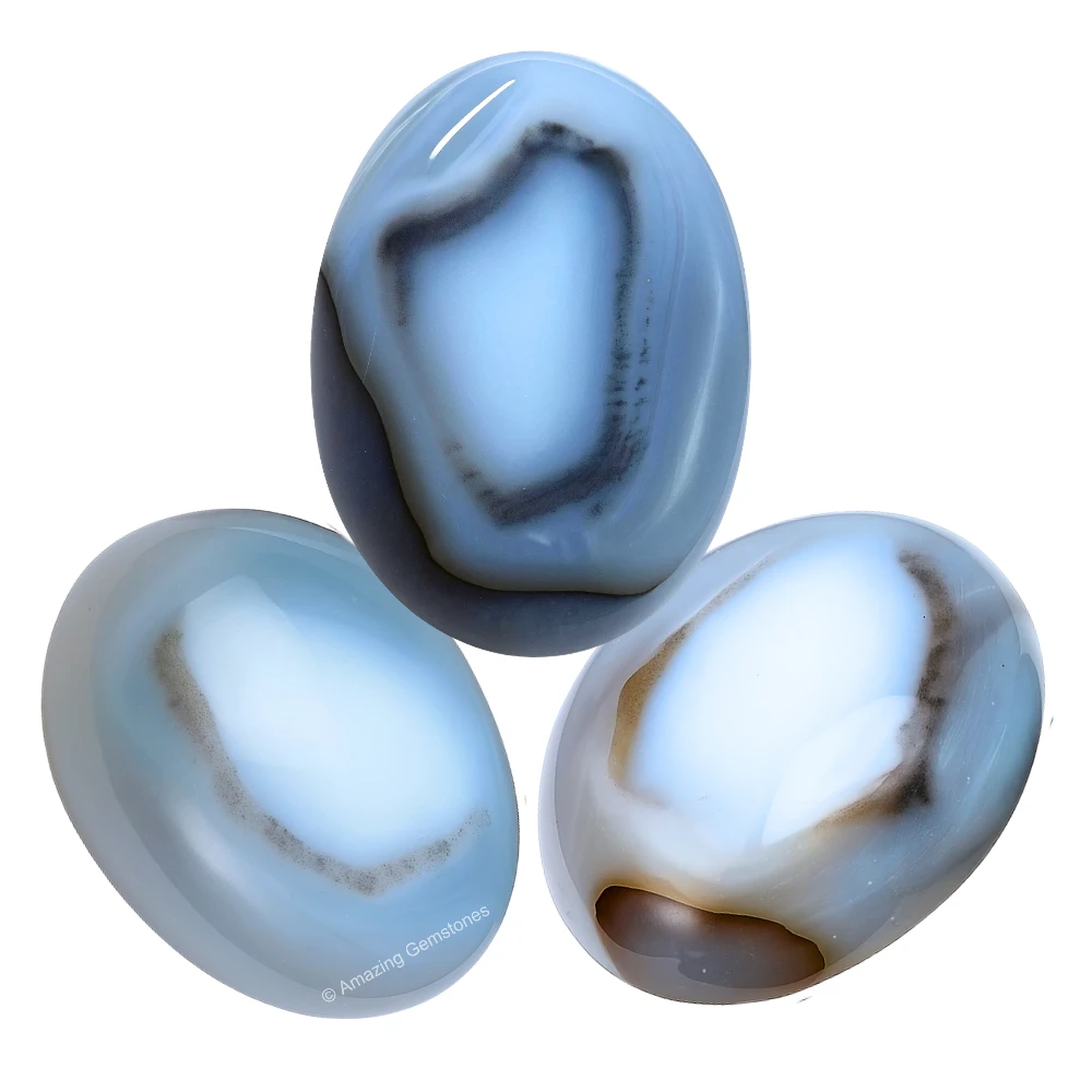 Dendrite Agate Palm Stone