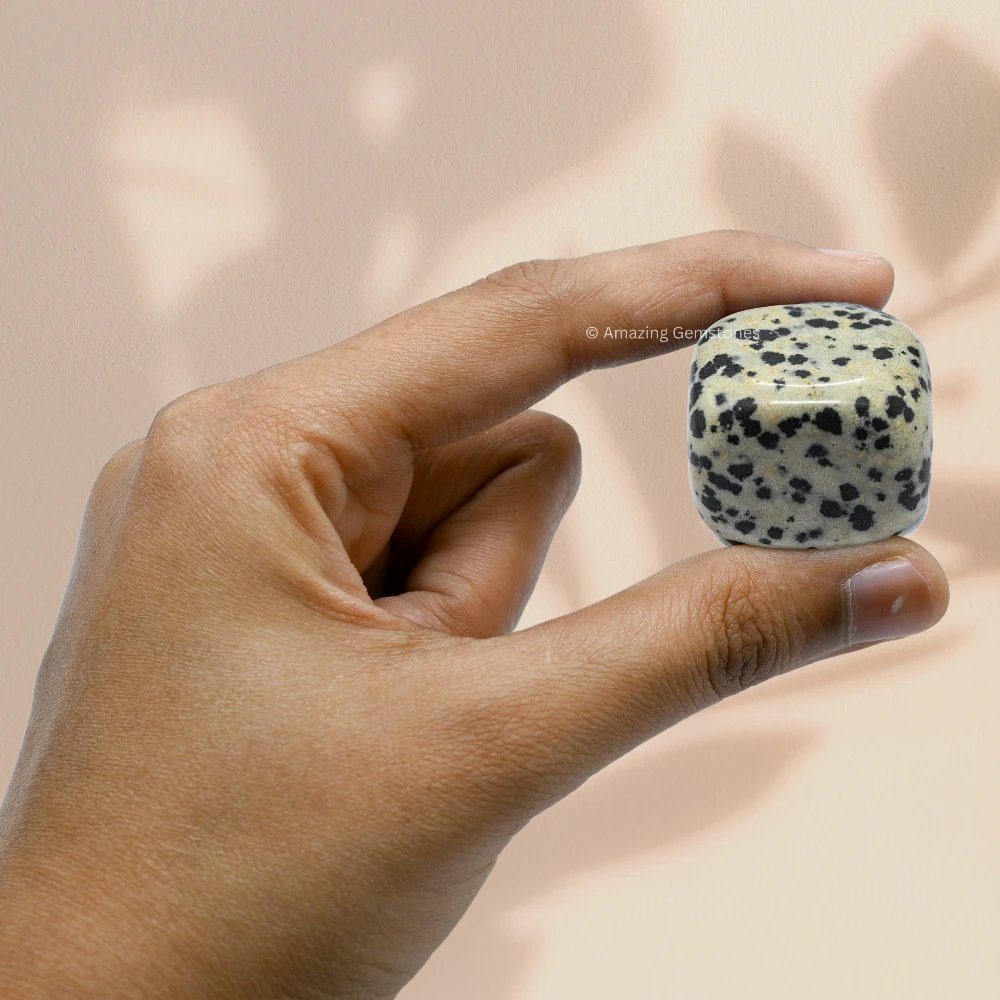 Tumbled Dalmatian Jasper Stone Crystals (1 oz)