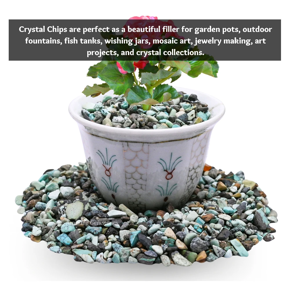 Turquoise Chips (1LB)