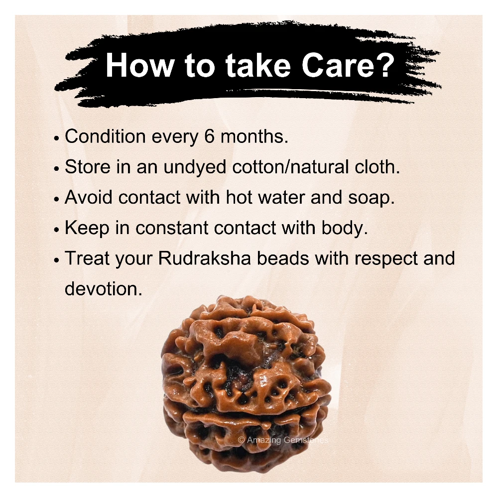 Authentic 5 Mukhi Rudraksha Bead