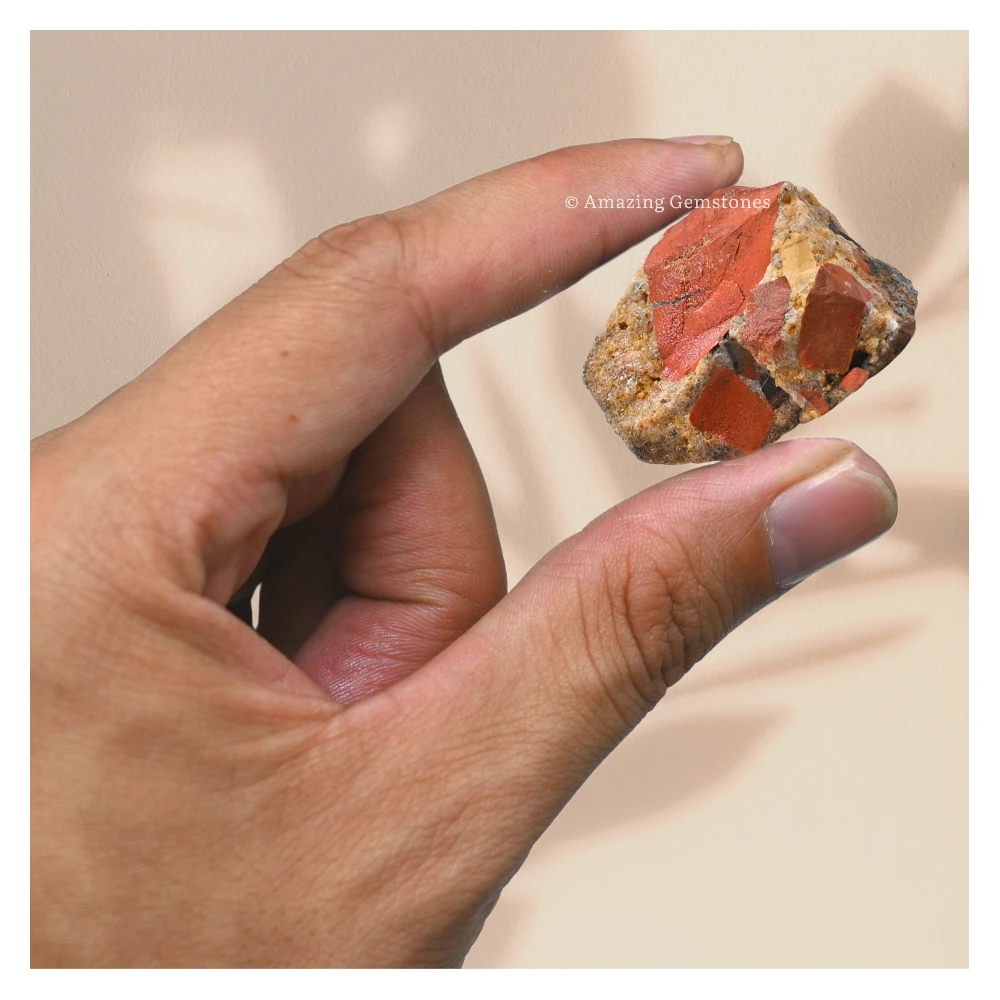 Spotted Jasper Raw Crystals (5 Pieces)