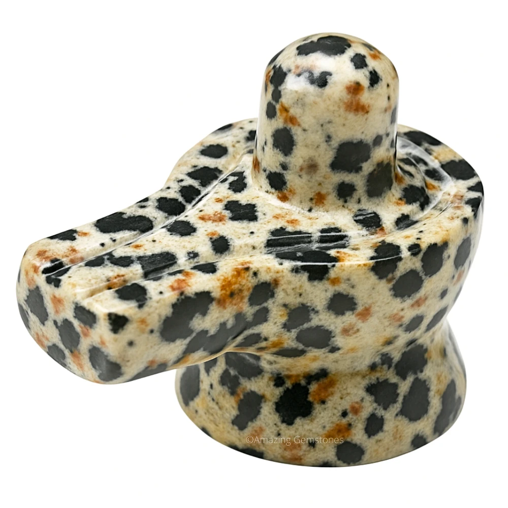Dalmatian Jasper Shivling
