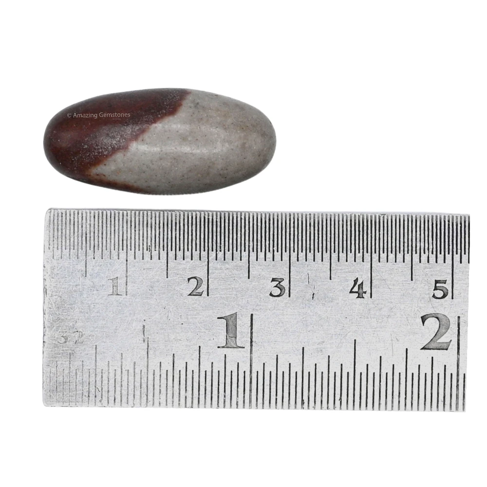 Narmadeshwar Shiva Lingam Stone(Unpolished) (1.5 Inch)