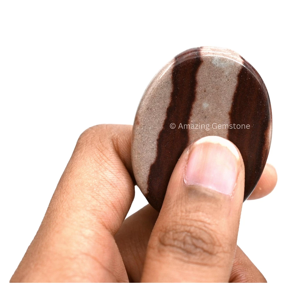 Narmada Shiva Lingam Worry Stone
