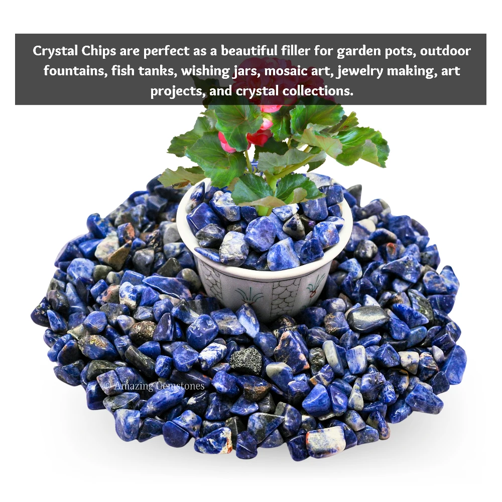 Sodalite Chips (1LB)