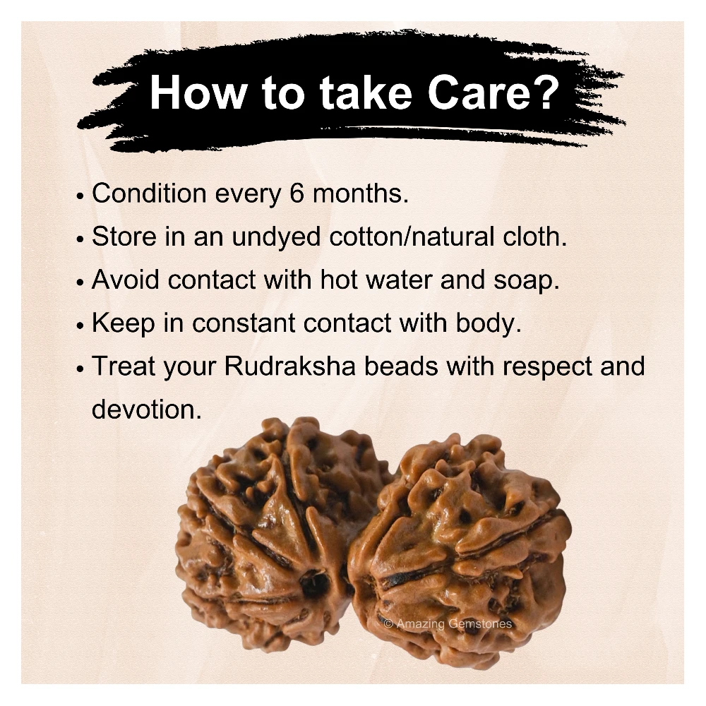 Authentic Gauri Shankar Rudraksha Bead