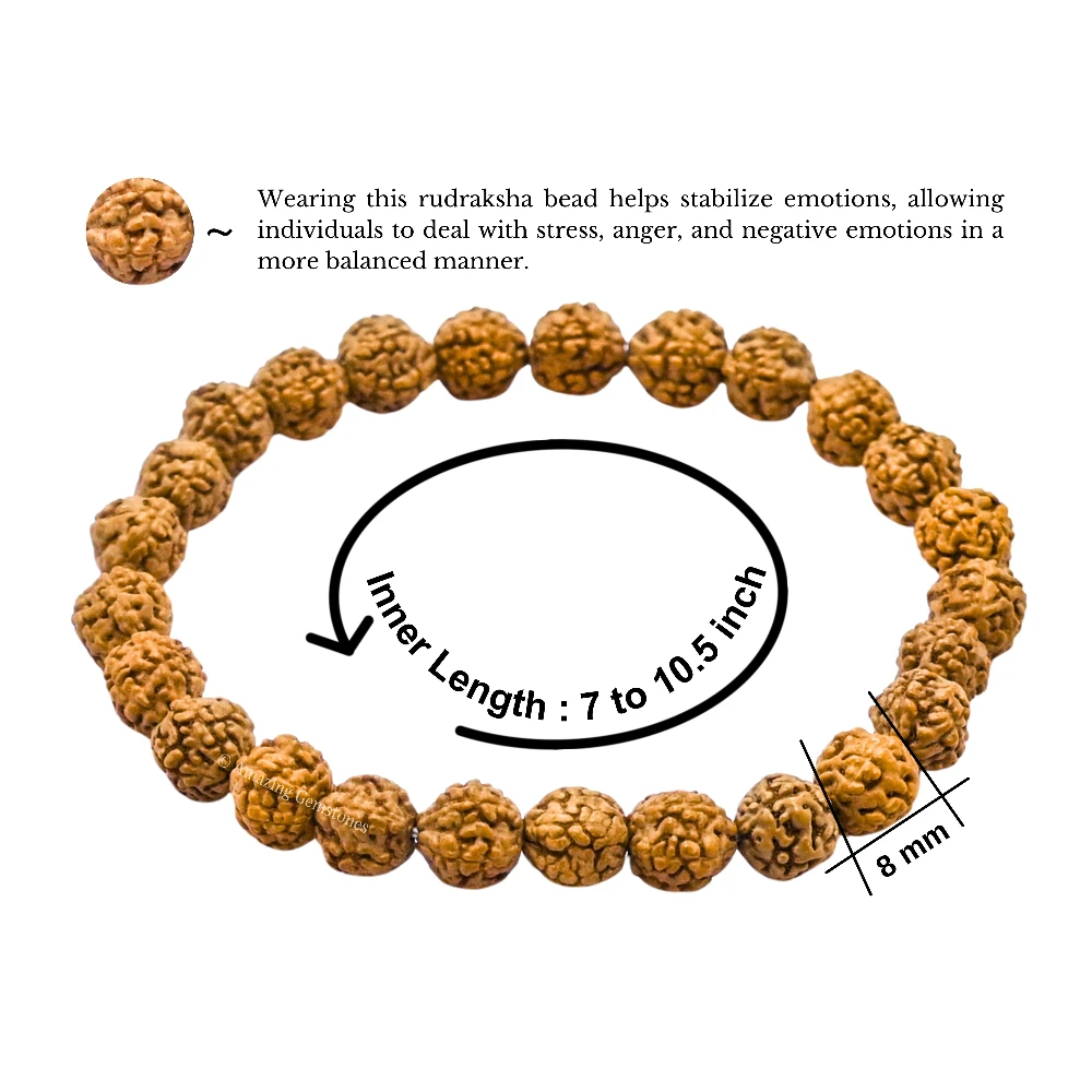 Rudraksha Bracelet (Strechable)