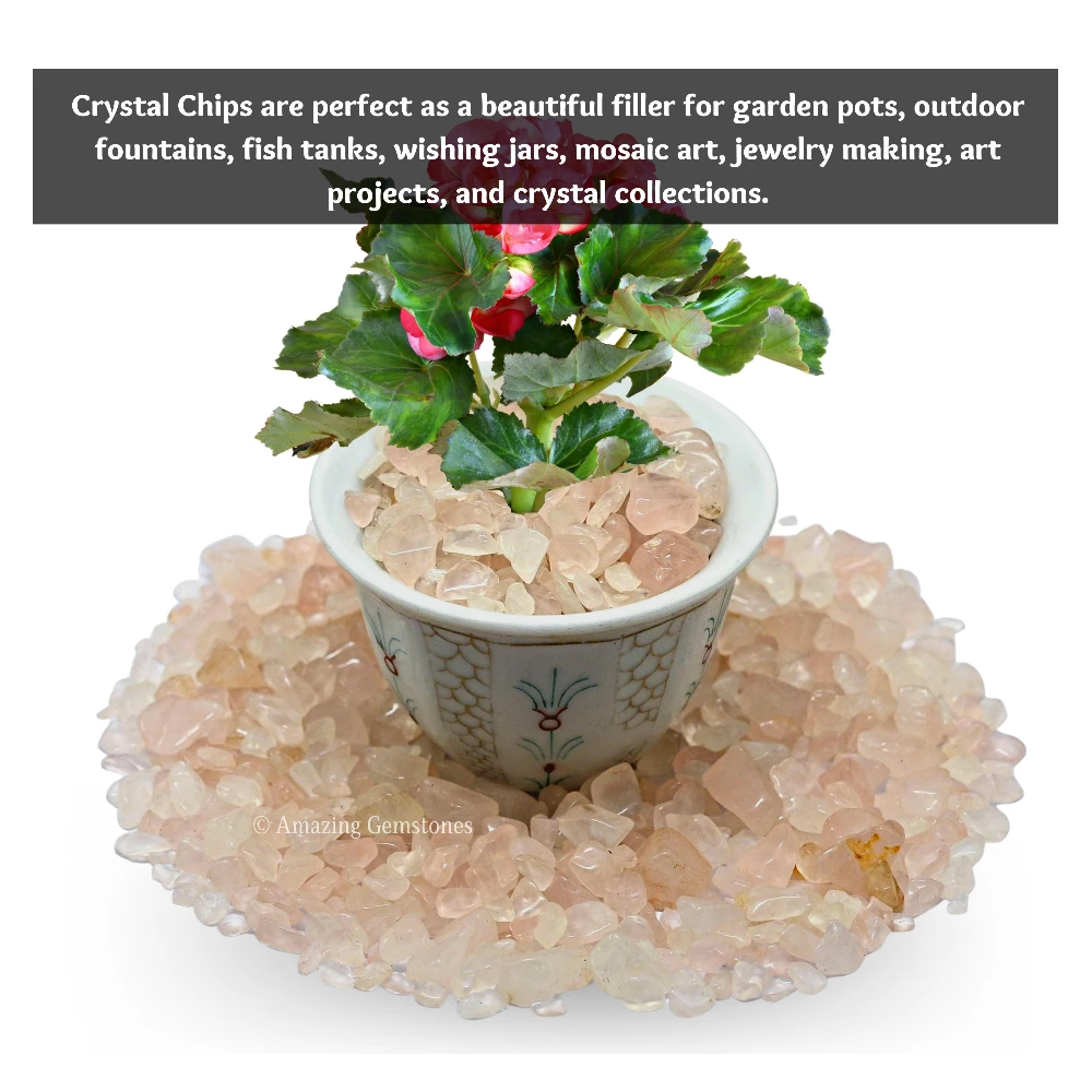 Rose Quartz Chips (1LB)