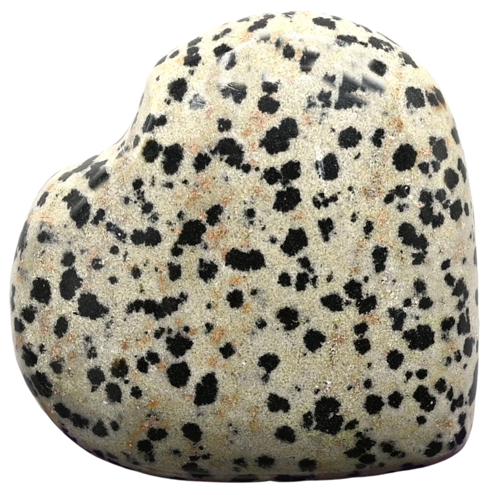 Dalmatian Jasper Heart